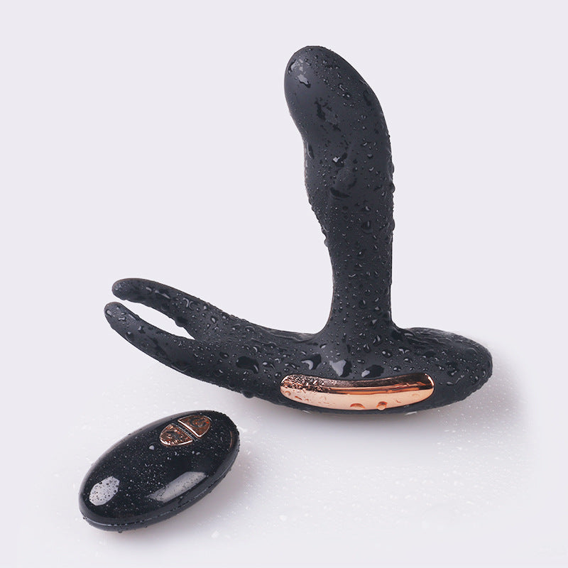 TiBe Heated Prostate Massager and Vibrating Plug