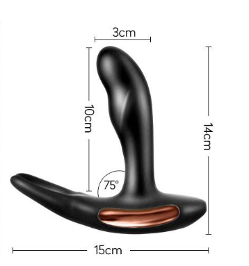 TiBe Heated Prostate Massager and Vibrating Plug